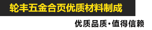 平湖市轮丰五金有限公司